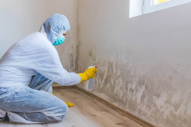 Best Attic Mold Removal  in Riesel, TX