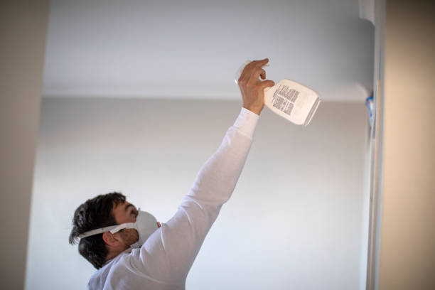 Mold Removal Process in Riesel, TX