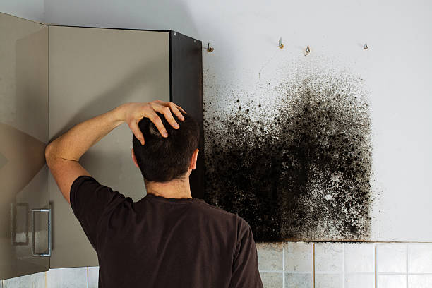 Best Certified Mold Removal  in Riesel, TX