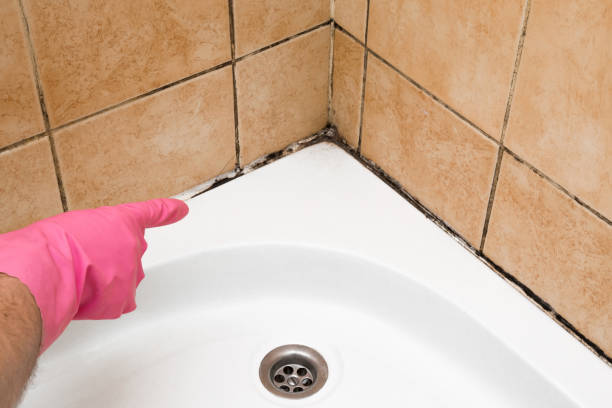 Best Residential Mold Removal  in Riesel, TX